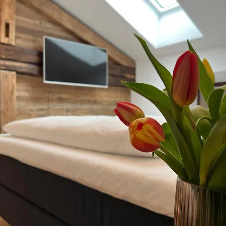 Appartamento Traube 5